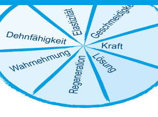 FASZIO® Trainingsstratgegien